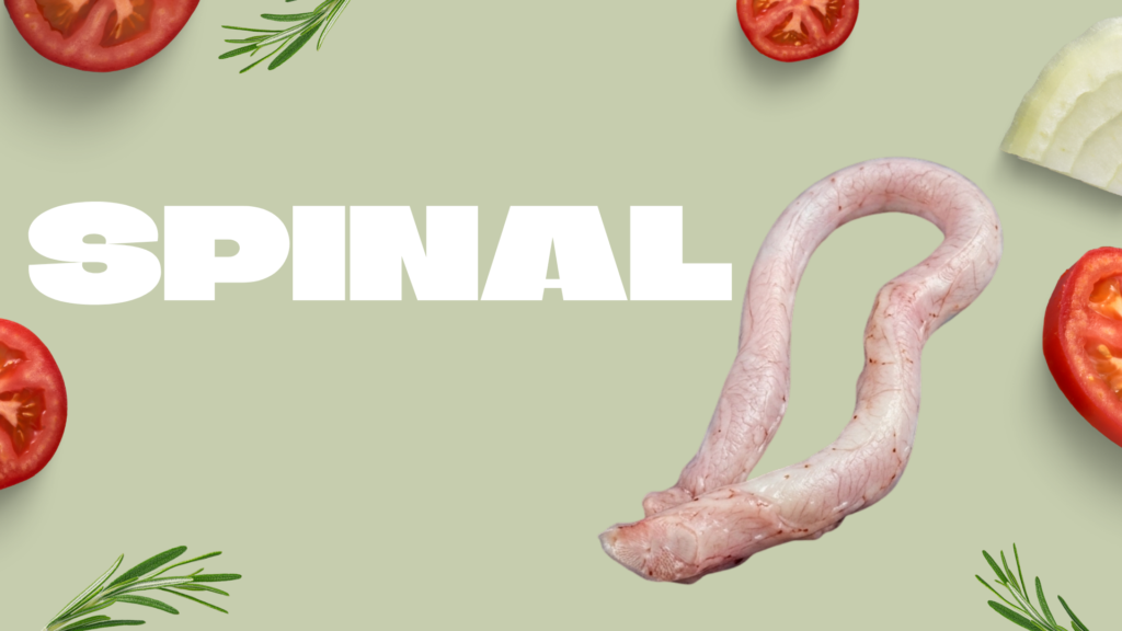 spinal offal