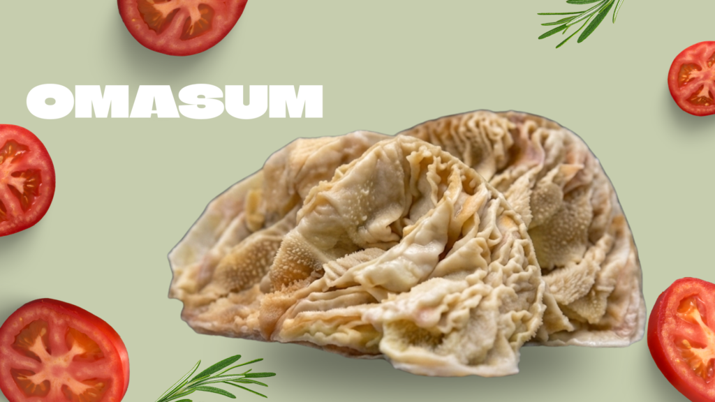 omasum