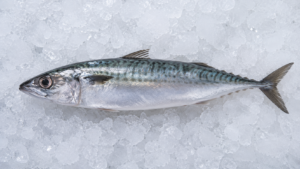 Horse Mackerel Fish