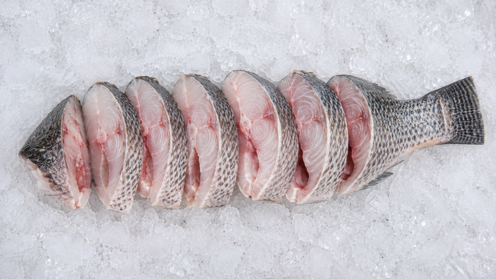 Tilapia Fish Moon Cut